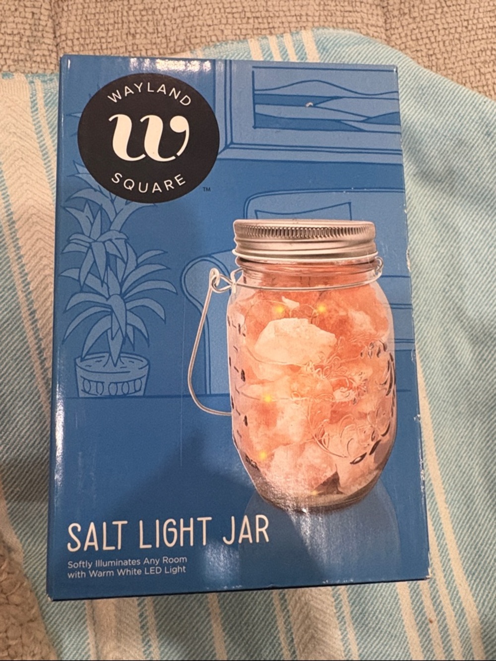 Wayland square Salt Light Jar - Pink Salt New